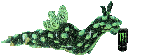 monster energy sea slug - GIF animé gratuit