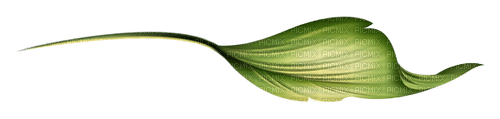 leaf - nemokama png