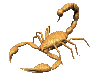 Scorpion - GIF animado gratis