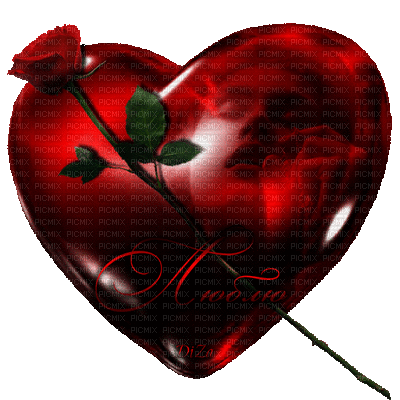 coeur, love, rose, red - Zdarma animovaný GIF