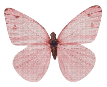 vintage butterfly - darmowe png