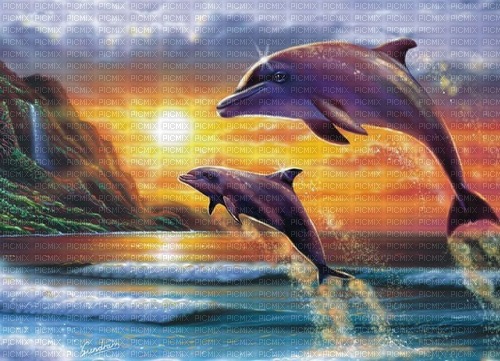 les dauphins - PNG gratuit