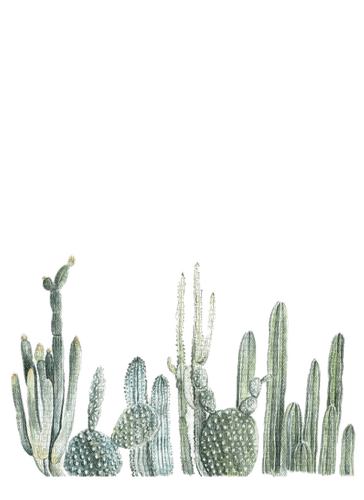 cactus Bb2 - zadarmo png