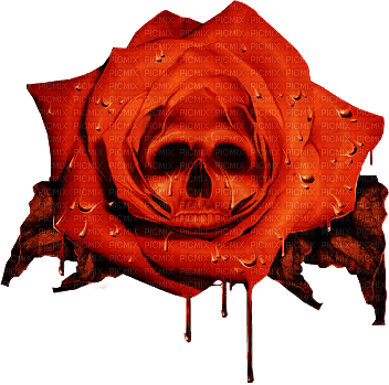 skull rose - png ฟรี