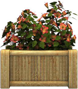 Blumenkasten - ilmainen png
