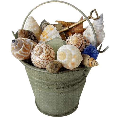 seashell bucket Bb2 - bezmaksas png