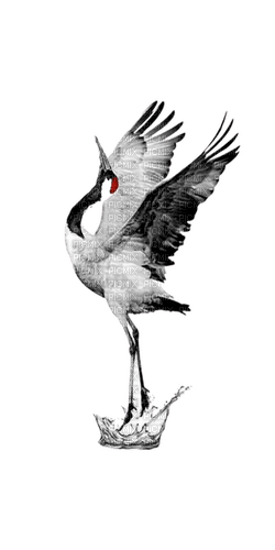 oiseau grue - darmowe png