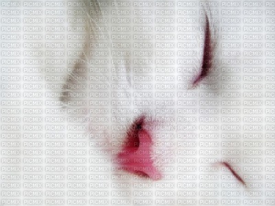 chat blanc - 免费PNG