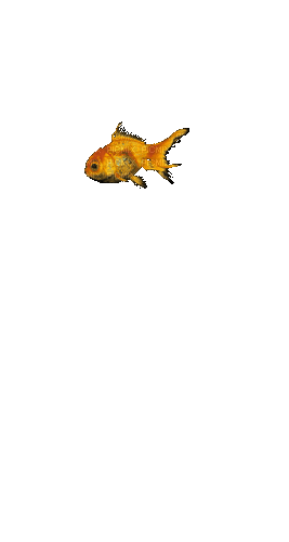 Рыба - Безплатен анимиран GIF