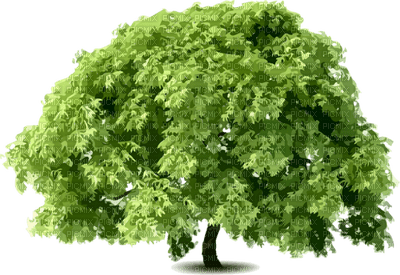 Kaz_Creations Trees Tree - 免费PNG