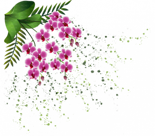 fleurs5966 - png grátis