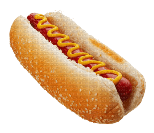 GIANNIS TOUROUNTZAN - hot dog - Free PNG