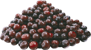 cherries Bb2 - PNG gratuit