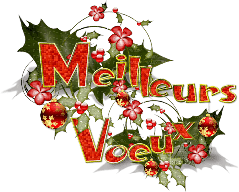 loly33 texte meilleurs vœux - Free PNG