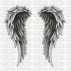 wings - darmowe png