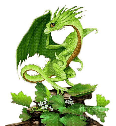 green dragon by nataliplus - besplatni png