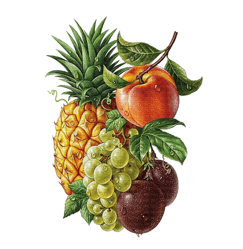 Obst, Ananas, Pflaumen, Nektarine - nemokama png