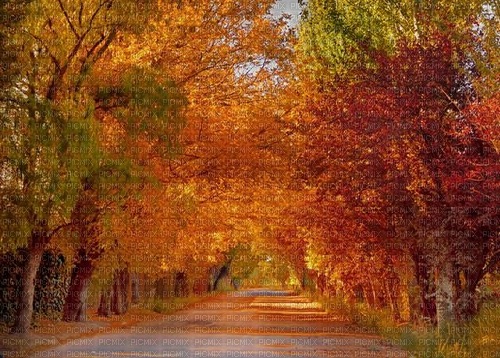 autumn background - png gratuito
