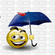 smilie, emoji - Ingyenes animált GIF
