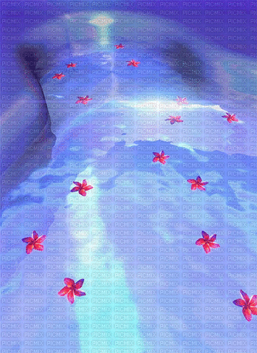 flower pool - GIF animé gratuit