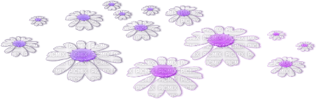 soave deco flowers scrap floor daisy white purple - png ฟรี