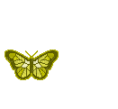 Butterflies - Jitter.Bug.Girl - Бесплатный анимированный гифка