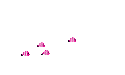 pink fish - 免费动画 GIF