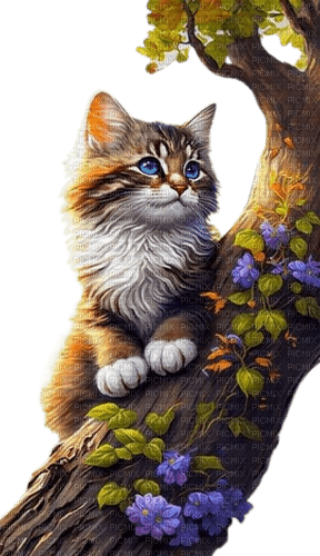 chat sur arbre - zadarmo png