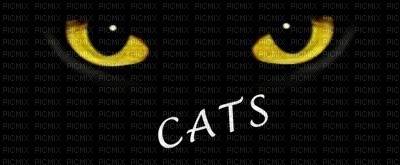 Cats  the musical bp - ingyenes png
