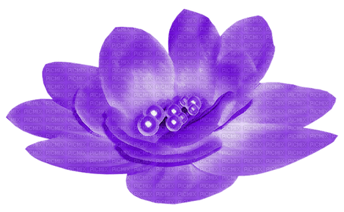Flower.Pearls.Purple - ücretsiz png