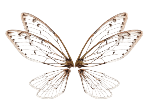 ailes de fées - Free PNG