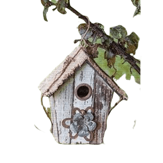 birdhouse - zdarma png