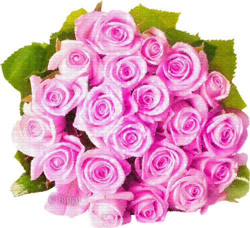 Y.A.M._Flowers bouquet of roses - GIF animé gratuit
