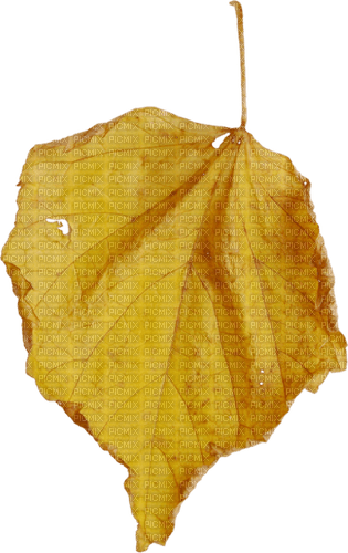 autumn leaf yellow deco kikkapink - png gratis