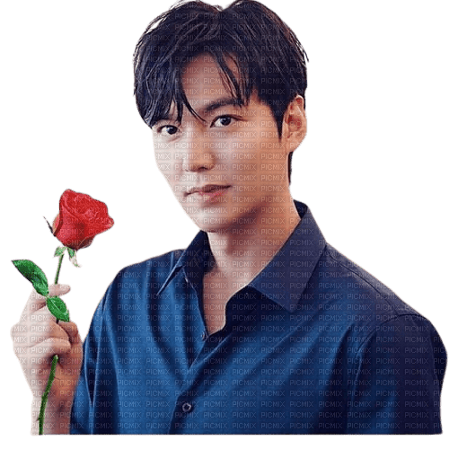 korean man rose - zdarma png