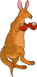 kangourou - Ücretsiz animasyonlu GIF