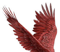 red wings - png grátis