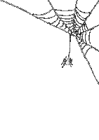spider - 無料のアニメーション GIF