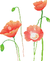 Y.A.M._Summer flowers - Darmowy animowany GIF