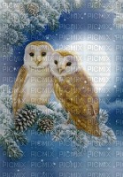 Owls in Winter - PNG gratuit
