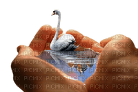 swans bp - ücretsiz png