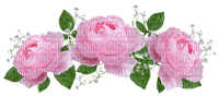 roses - zadarmo png