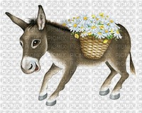 Donkey With Flowers
