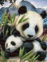 MMarcia gif panda fundo - Free animated GIF