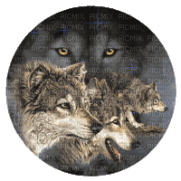 boule loups - Besplatni animirani GIF