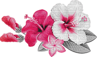 soave deco flowers summer tropical branch - 無料png