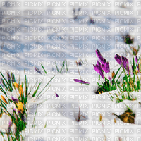 Y.A.M._Spring background - фрее пнг