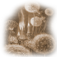 Y.A.M._Fantasy Summer background flowers Sepia - Free PNG
