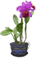 kwiatek - Free PNG