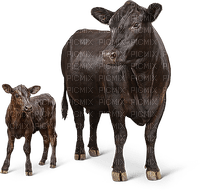 cow family farm - PNG gratuit